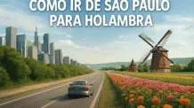 Como Ir de São Paulo Para Holambra Um Guia Completo